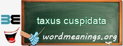 WordMeaning blackboard for taxus cuspidata